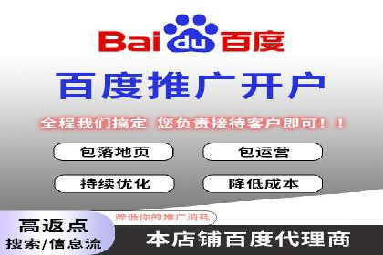 百度推广收费策略：案例分析及优化建议